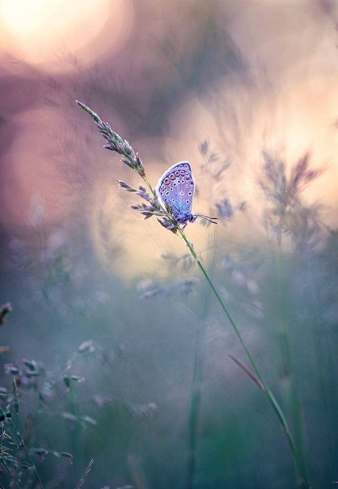 Photograph by Dana S.