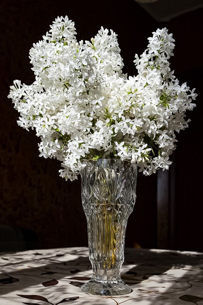 Photograph by Виталий Слёзка