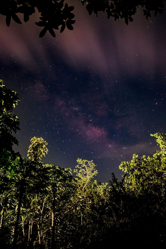 Photograph by Soumya ranjan swain