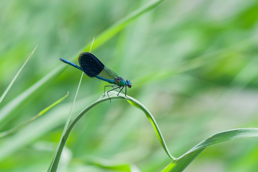 Photograph by Владимир Богданов