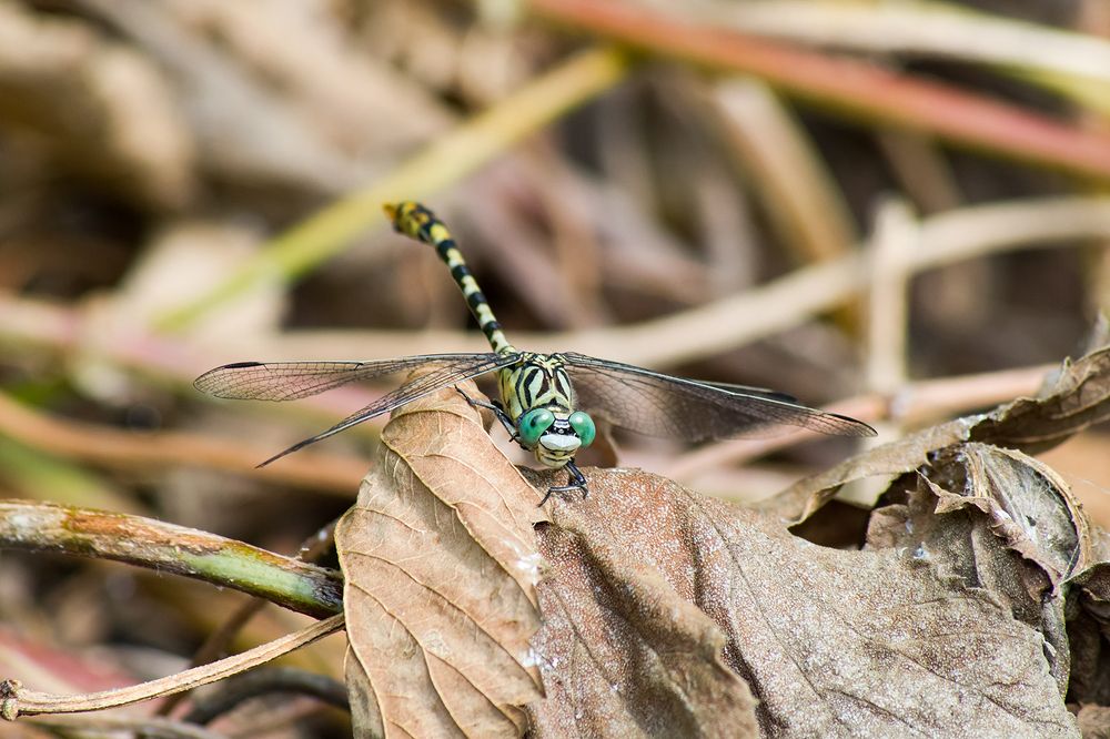 Photograph by Владимир Богданов