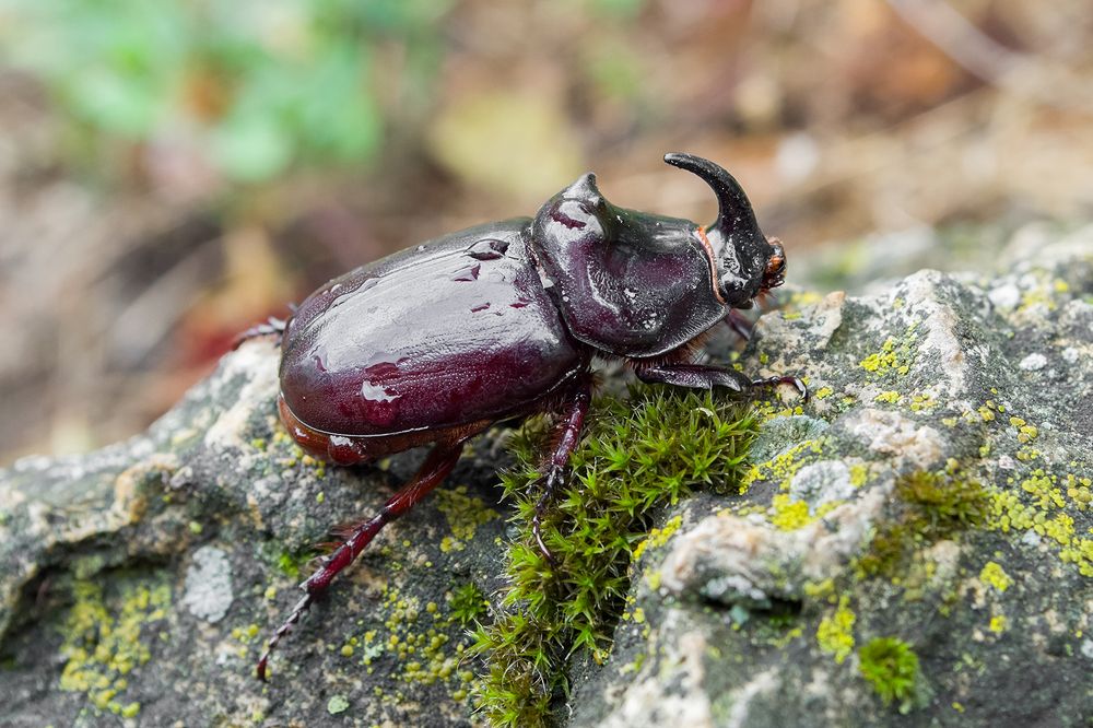 Photograph by Владимир Богданов