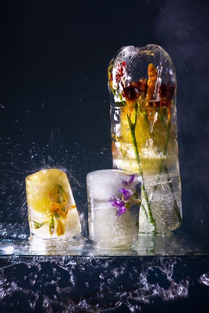 Фотография автора Iuliia Venediktova