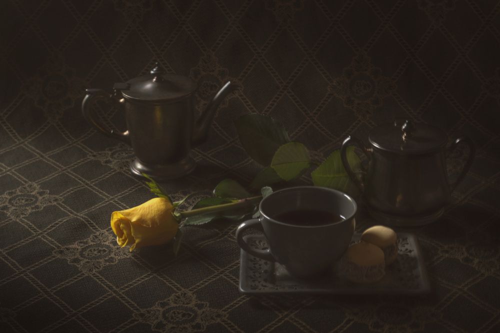 Фотография автора Iuliia Venediktova