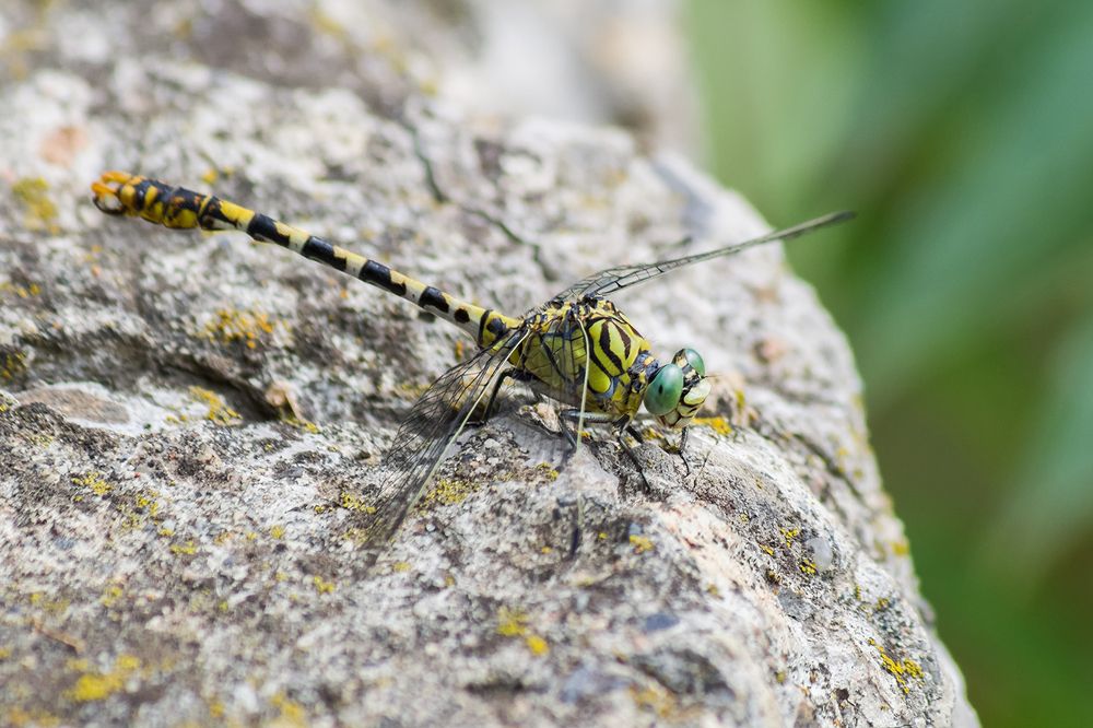 Photograph by Владимир Богданов