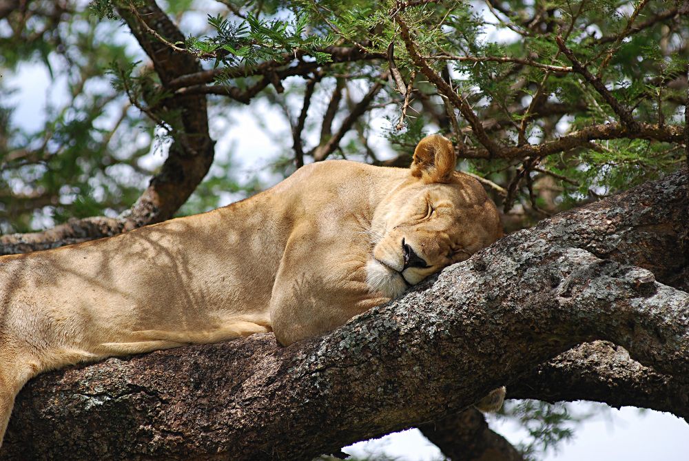 Фотография автора Gary Popp