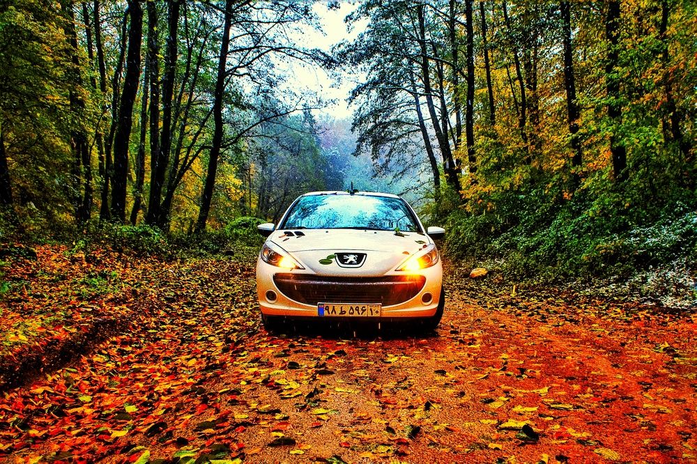 Фотография автора Milad Falahi