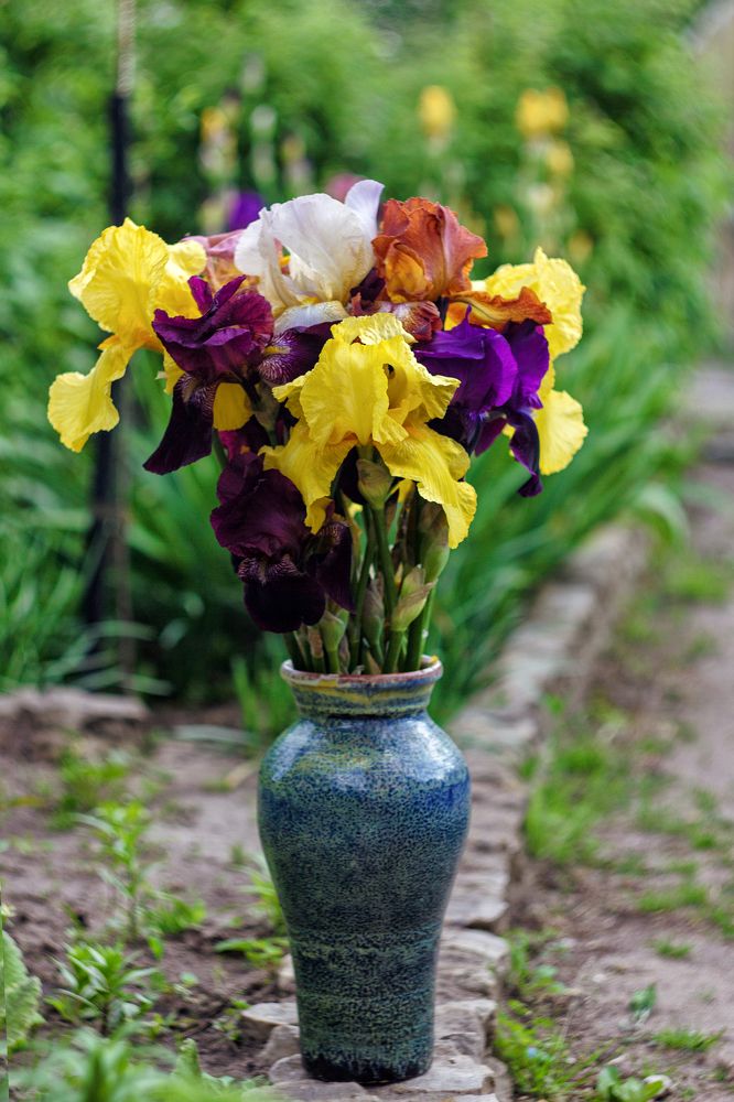 Фотография автора Тамара Нижельская