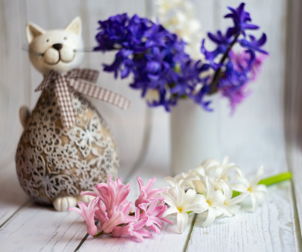 Фотография автора Тамара Нижельская