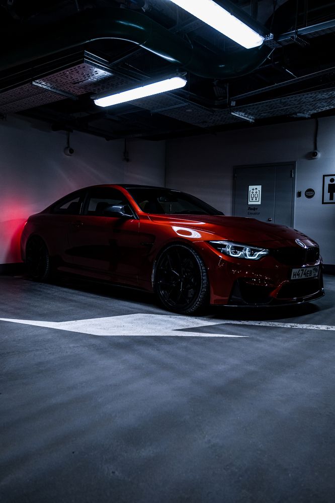 Photograph by Дмитрий