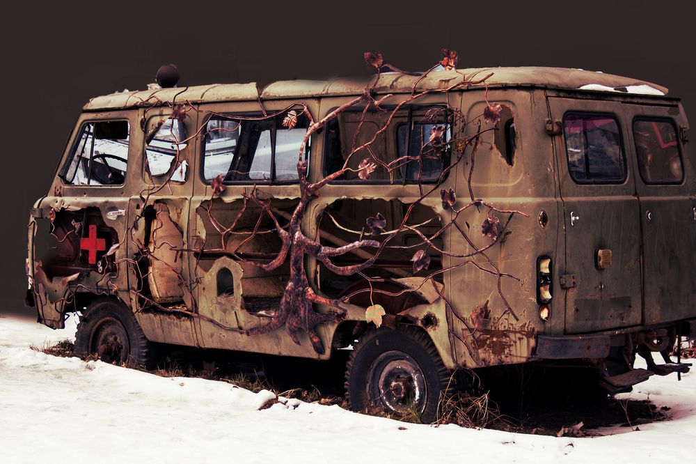 Photograph by Нелли Золотая