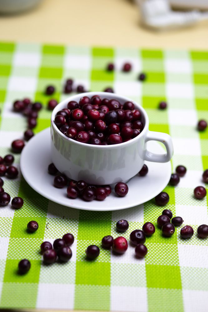 Фотография автора Тамара Нижельская