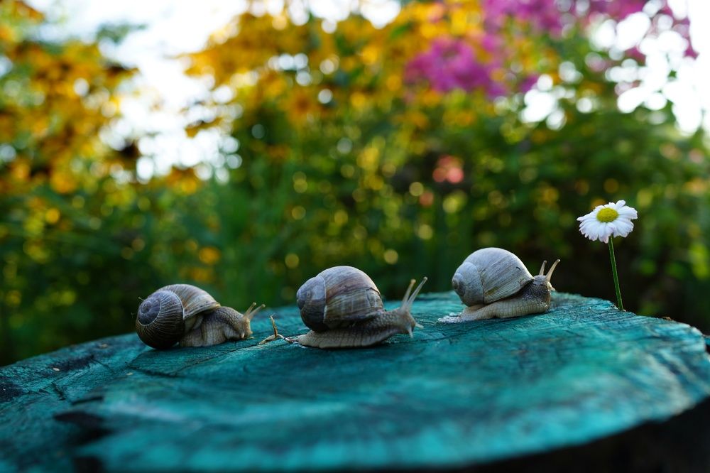 Photograph by Василий Селиванов