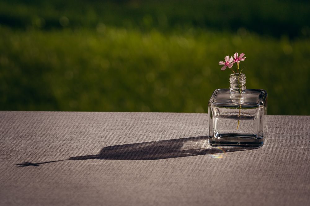 Photograph by Ольга Рачилова