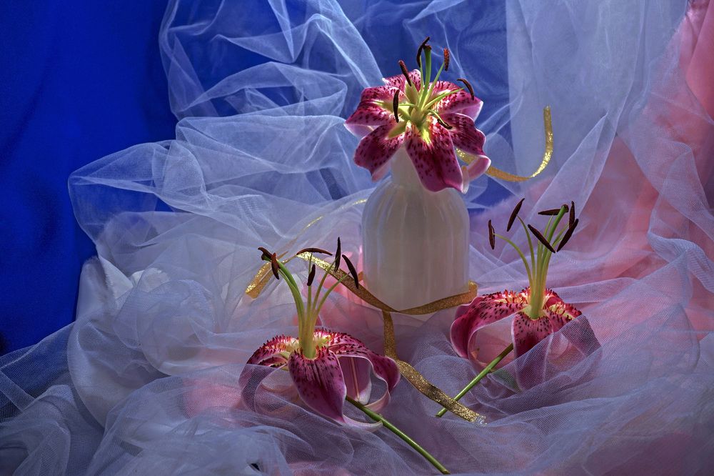 Photograph by Tatiana Glazkova