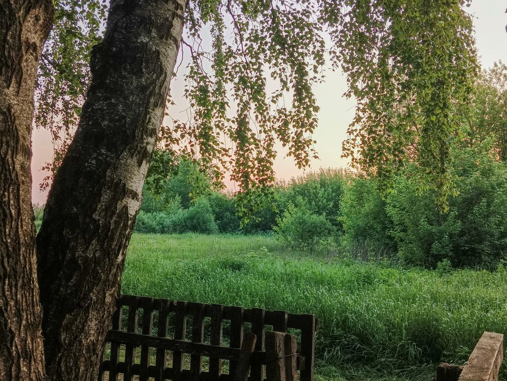 Photo #7909322