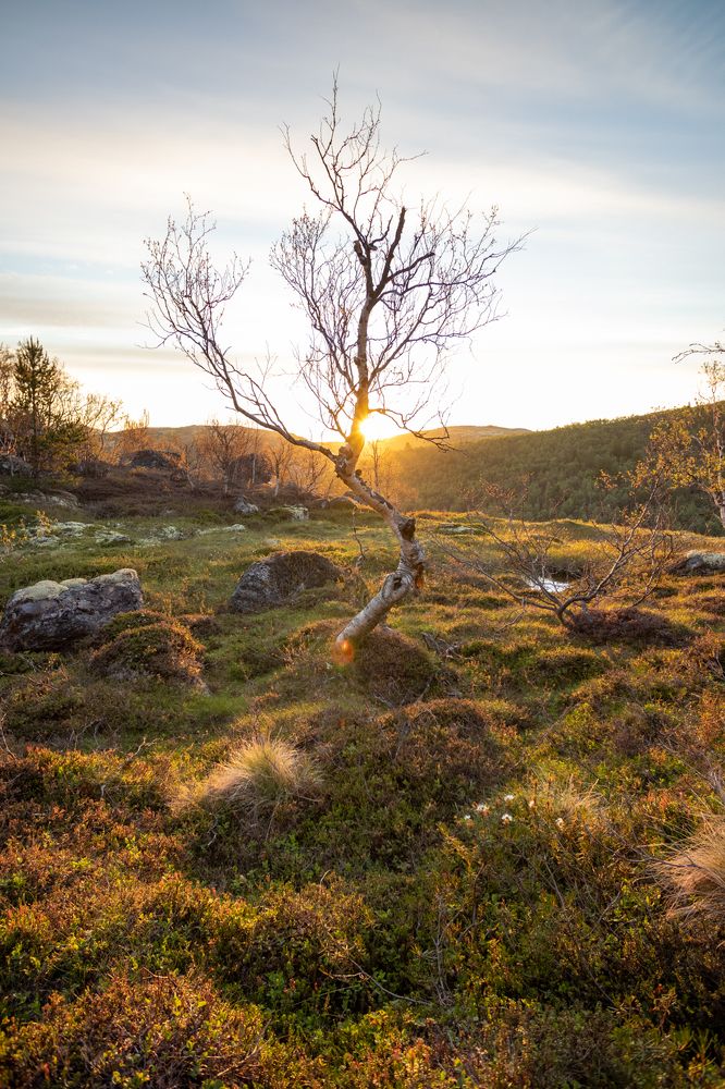 Фотография автора Андрей Русских