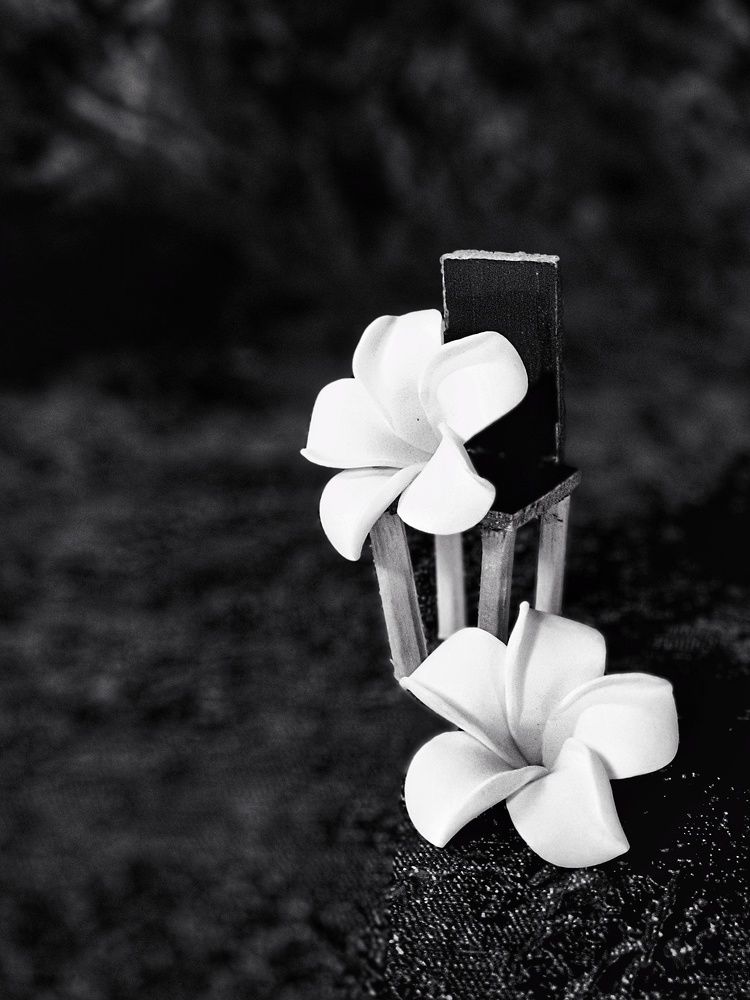 Photograph by Aleeza Ally