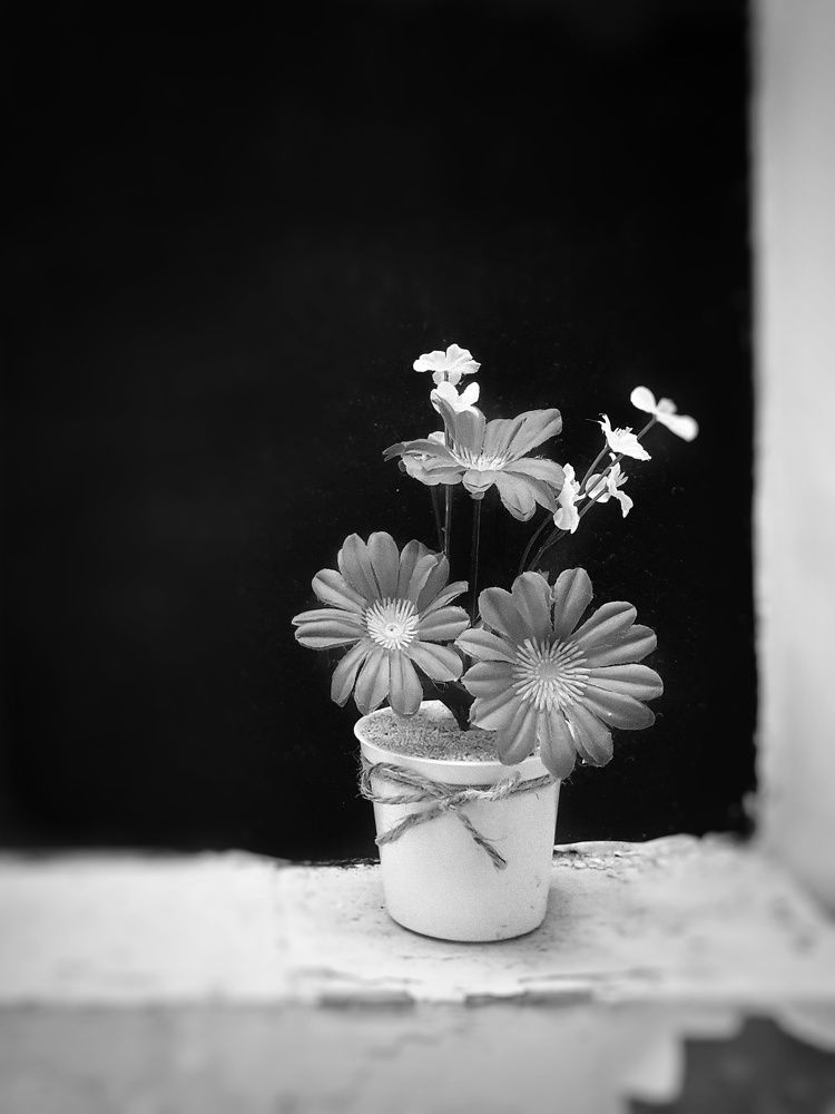 Photograph by Aleeza Ally