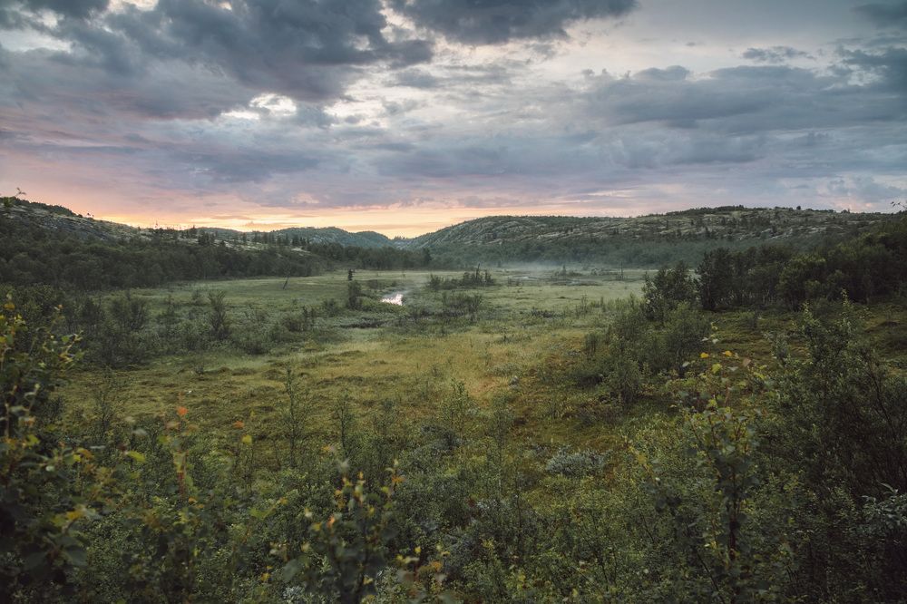 Фотография автора Андрей Русских