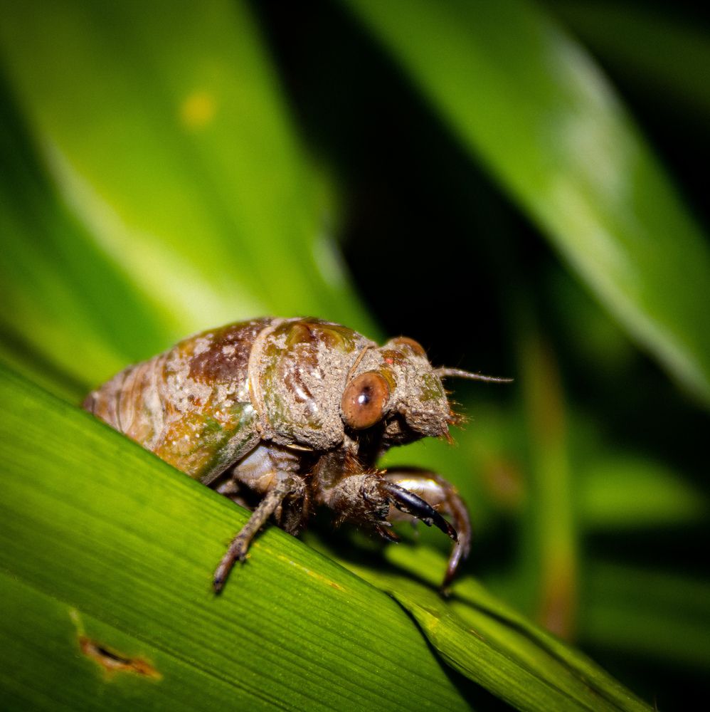 Фотография автора Татьяна Хуссейн