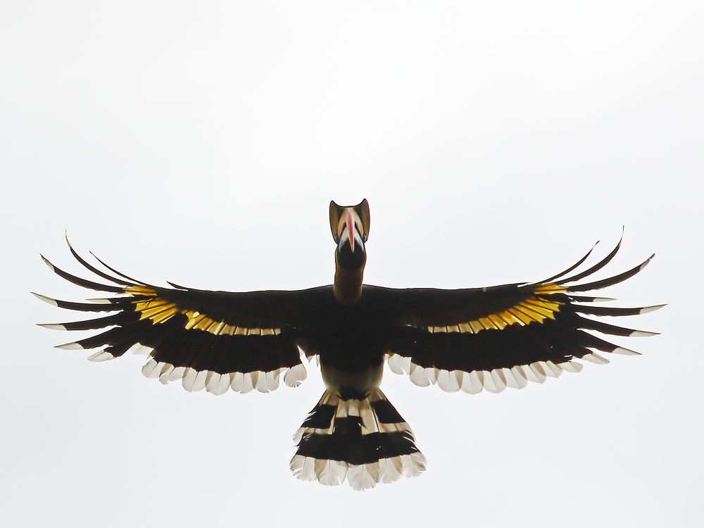 Photograph by Sreejith Sreedharan