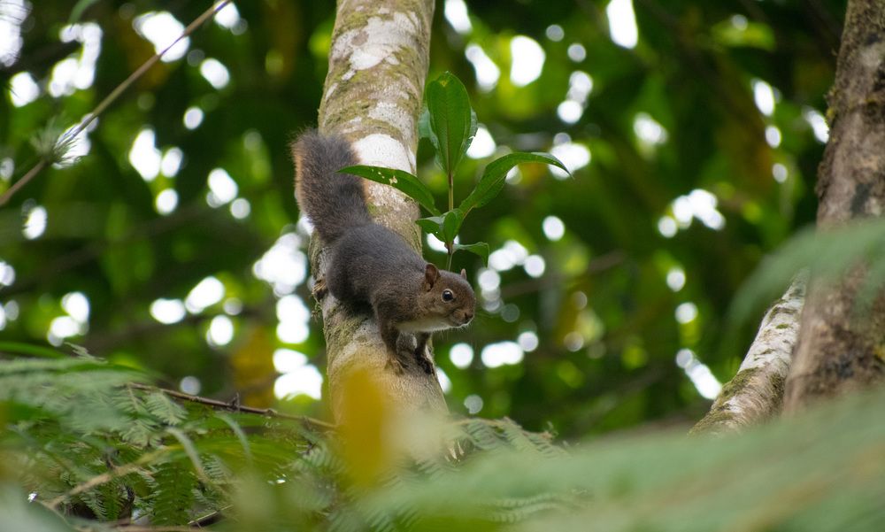 Photograph by Edut Flores Huaman