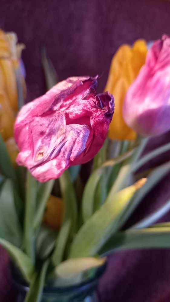 Photograph by Мария