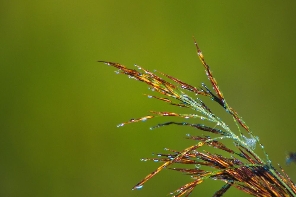 Photograph by Дмитрий Павлов