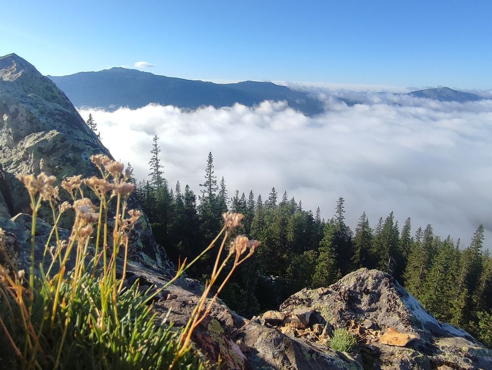 Photograph by Юлия Гинтер