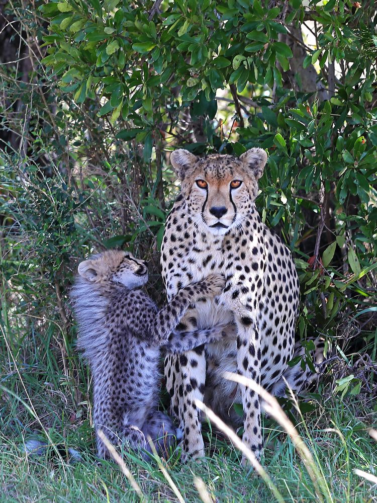 Child's request....!!!