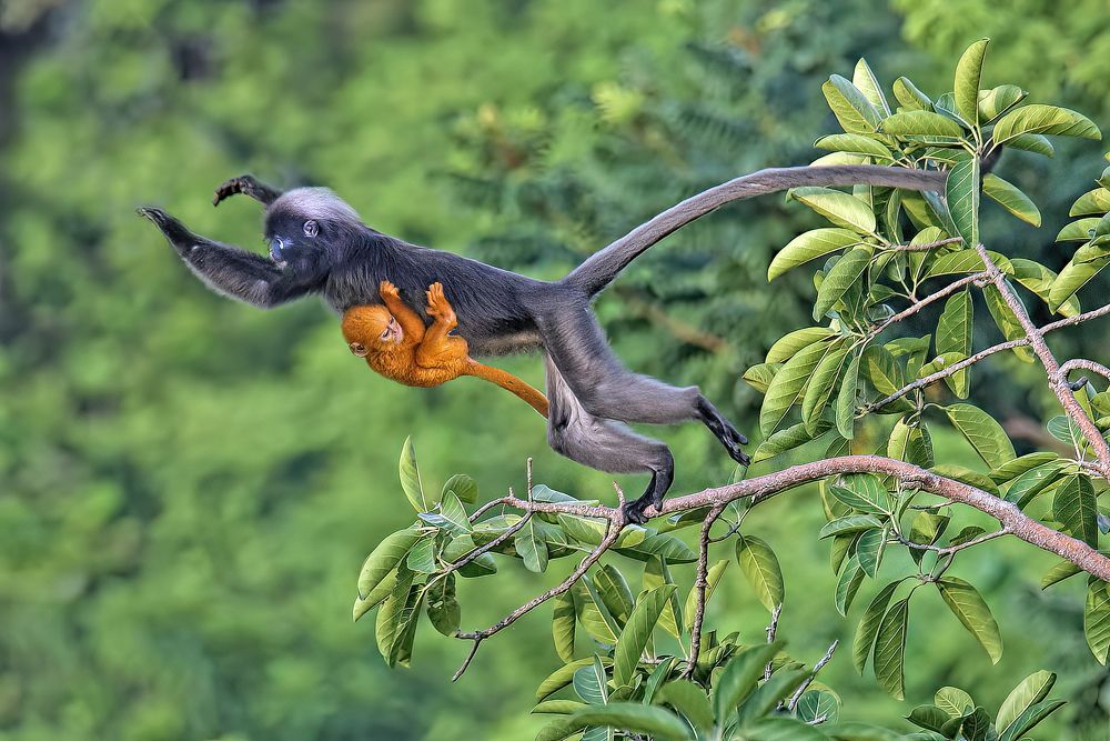 Photograph by Graeme Guy