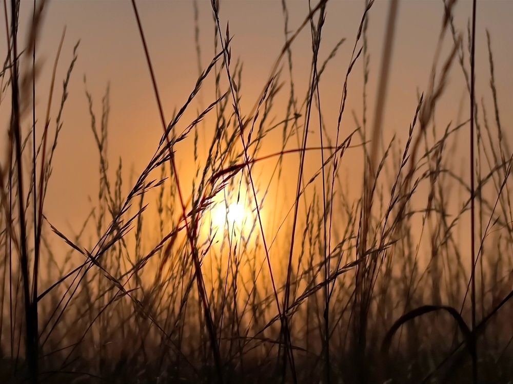 Photograph by Екатерина Харитонова