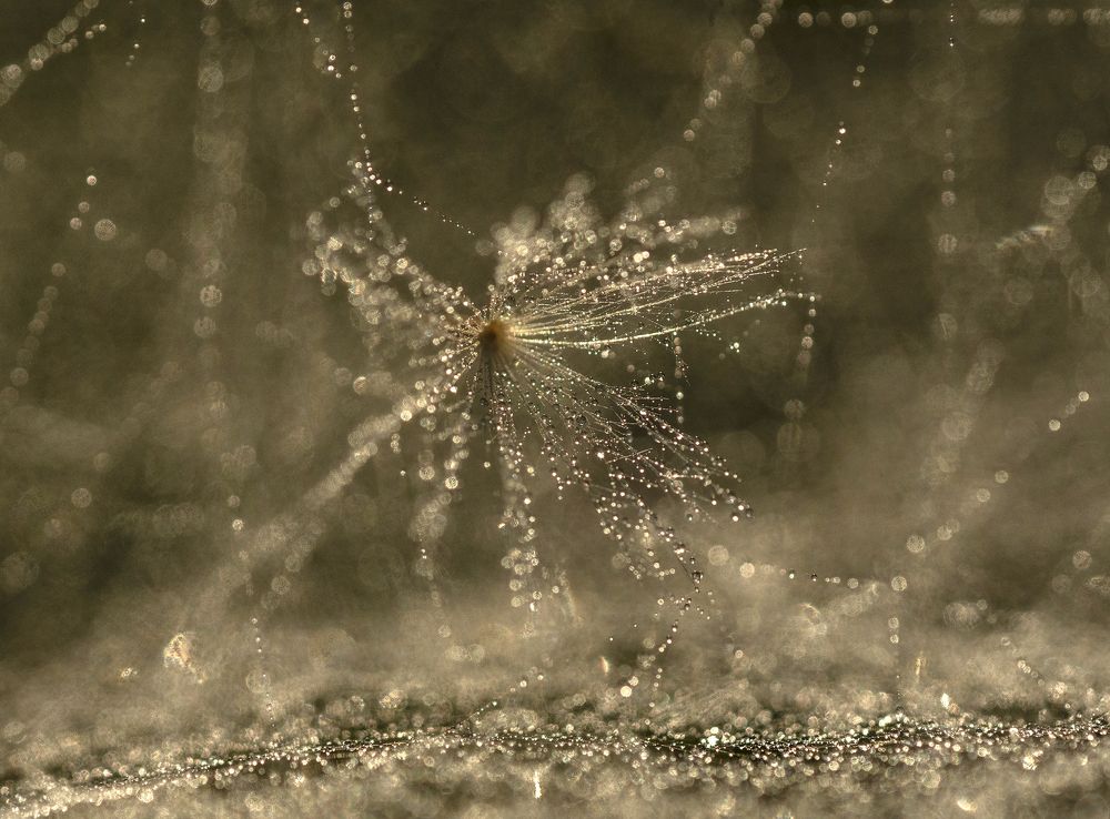 Photograph by Юрий Чернов