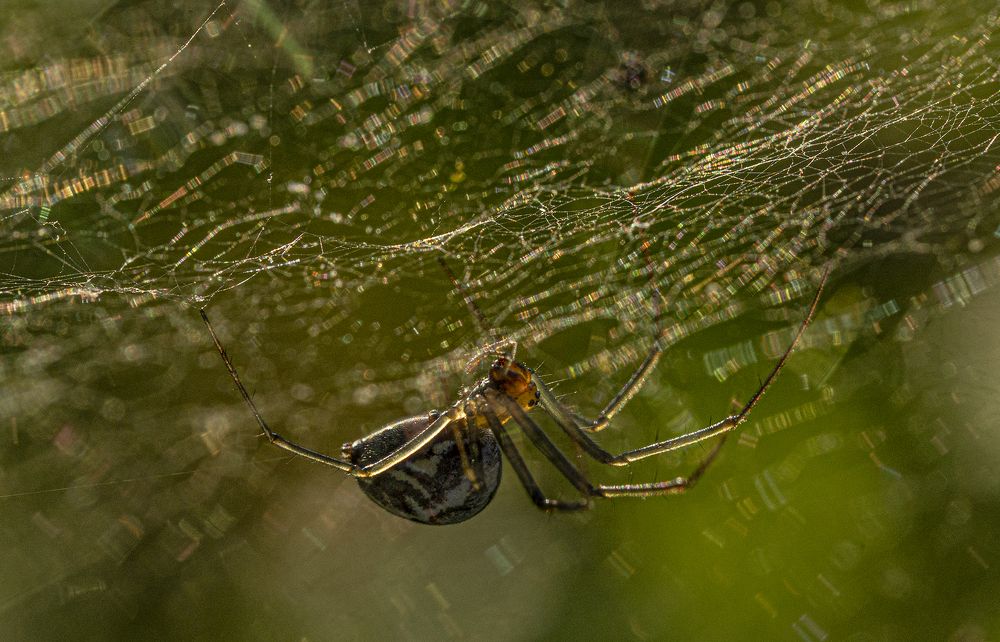 Photograph by Юрий Чернов