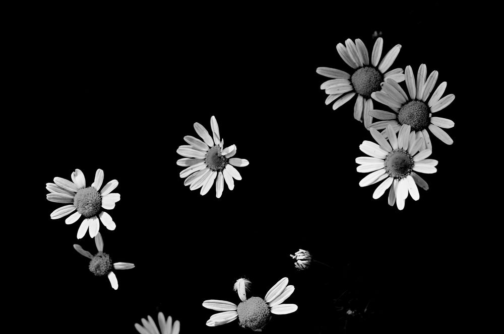 Photograph by Дмитрий Грысюк