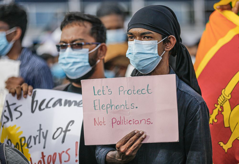 Photograph by Divanka Randula Podduwage