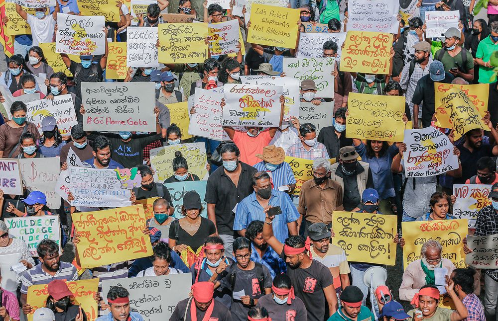 Photograph by Divanka Randula Podduwage