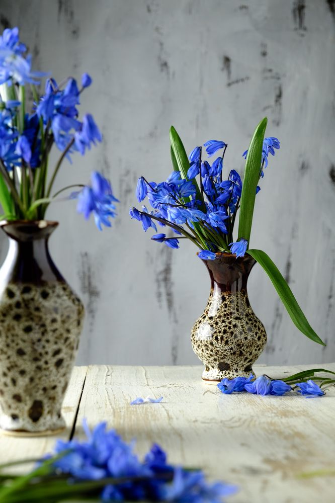 Photograph by Сергей Кравченко