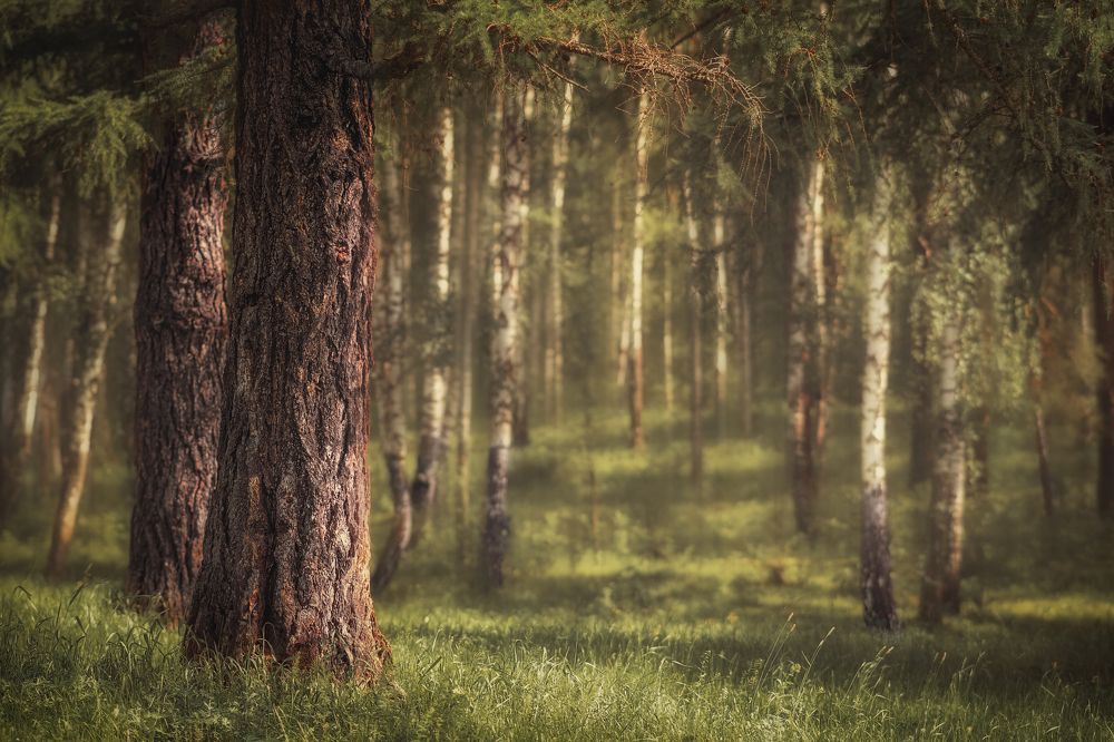 Photograph by Ivan Sazykin