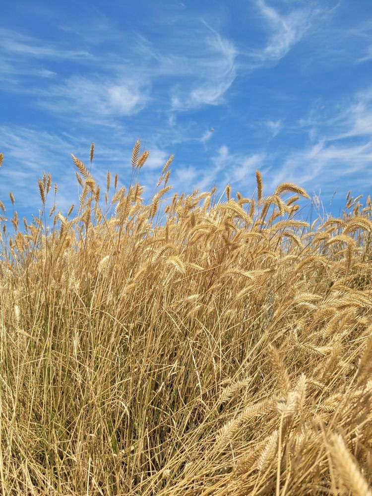 Photograph by Диана Артемьева