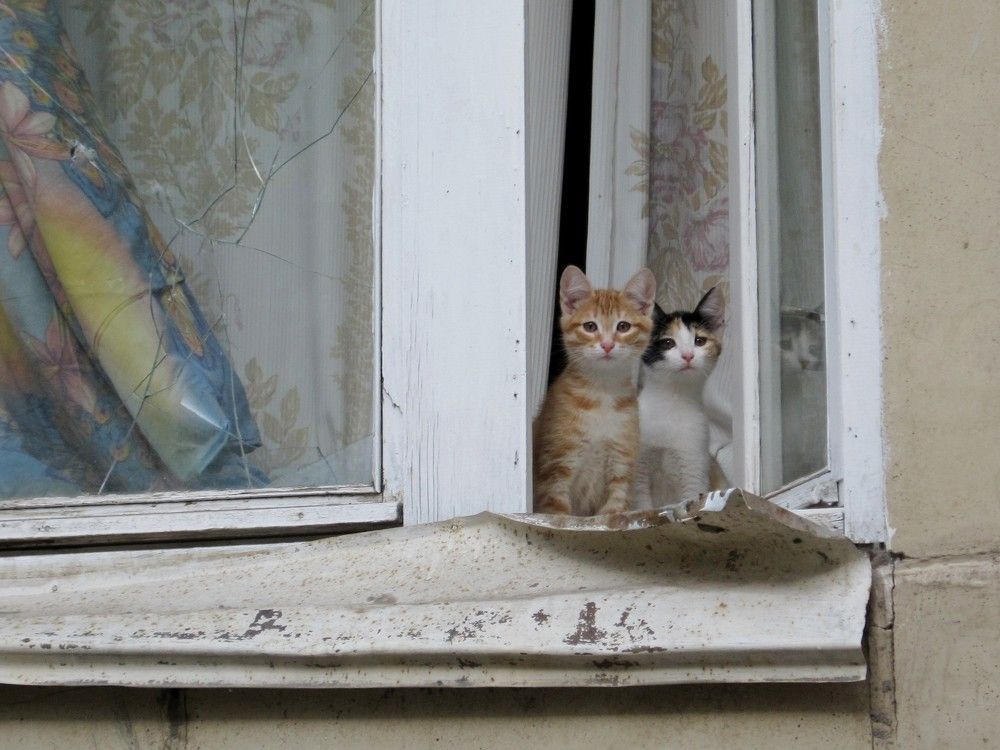 Photograph by Наталья Дубовкина