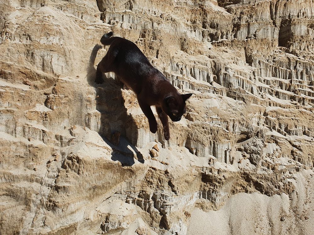 Фотография автора Надежда Лисицына