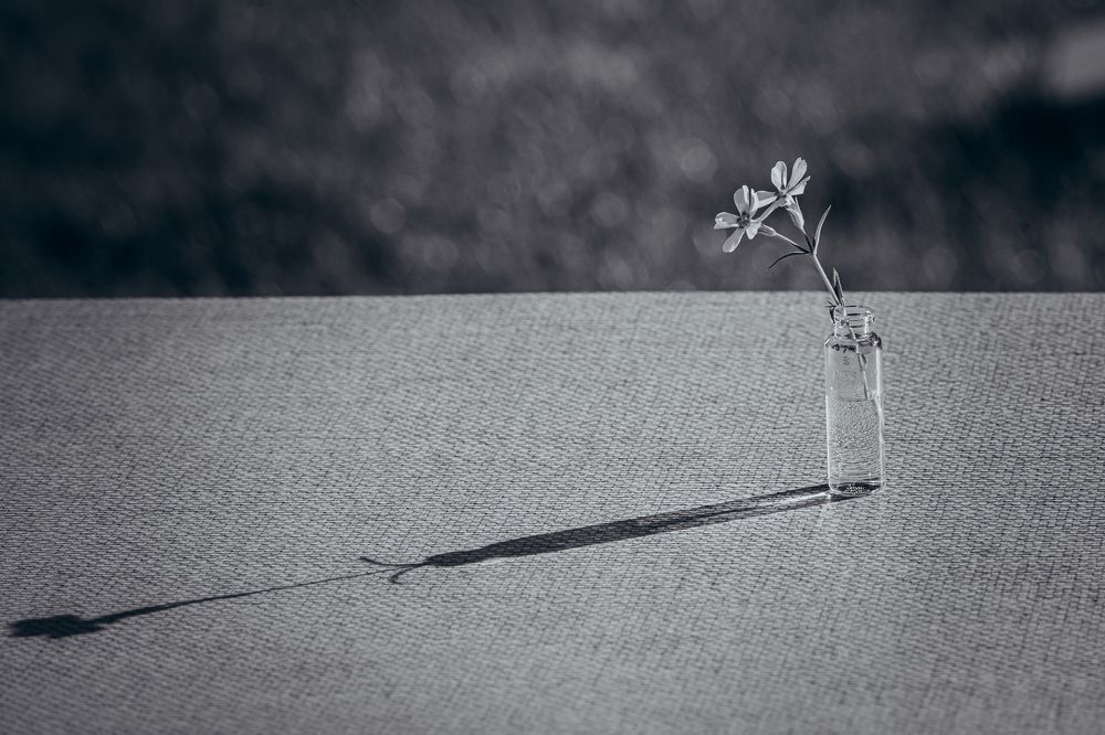 Photograph by Ольга Рачилова