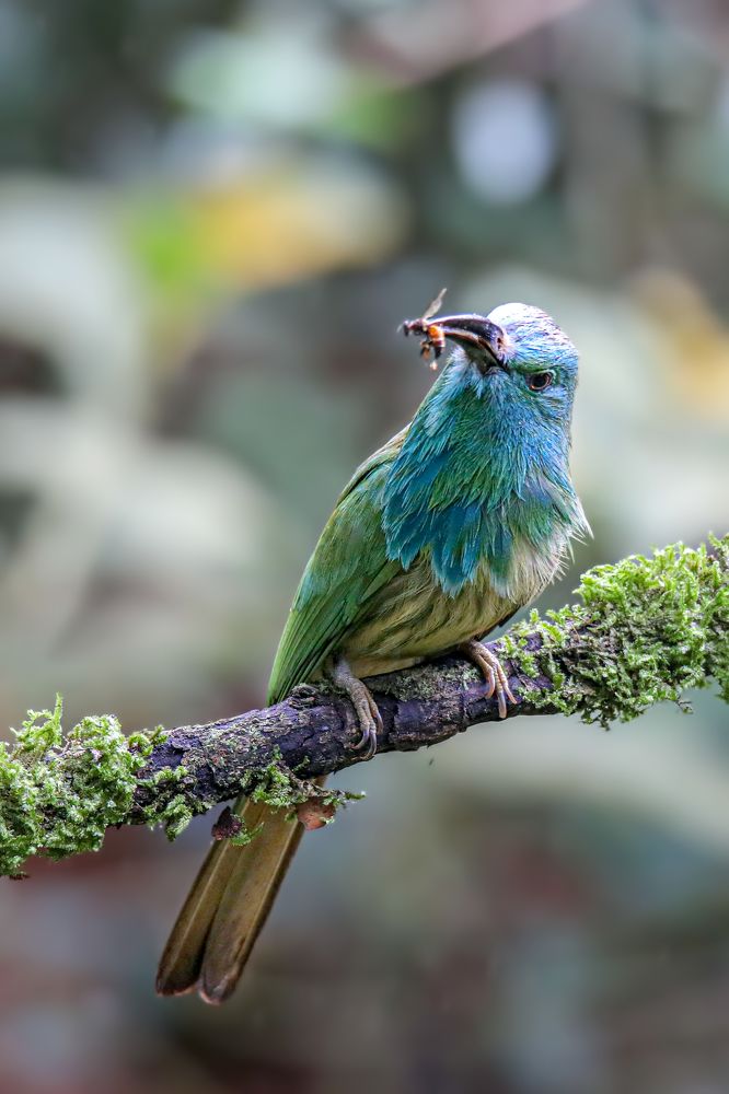 Фотография автора Suresh S S