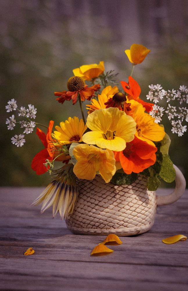 Photograph by Slesareva Nina