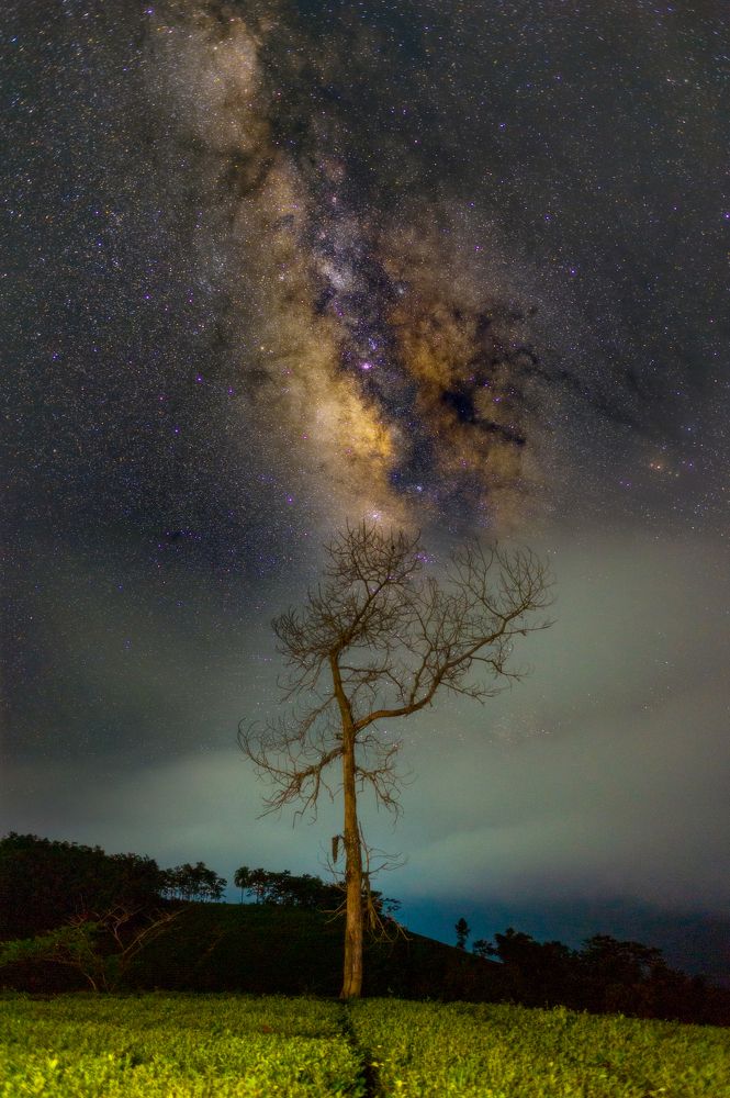 Photograph by Chris Duy