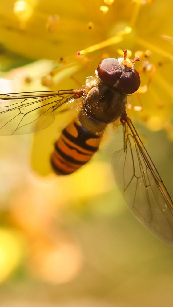Photograph by Юлия Чиботарь