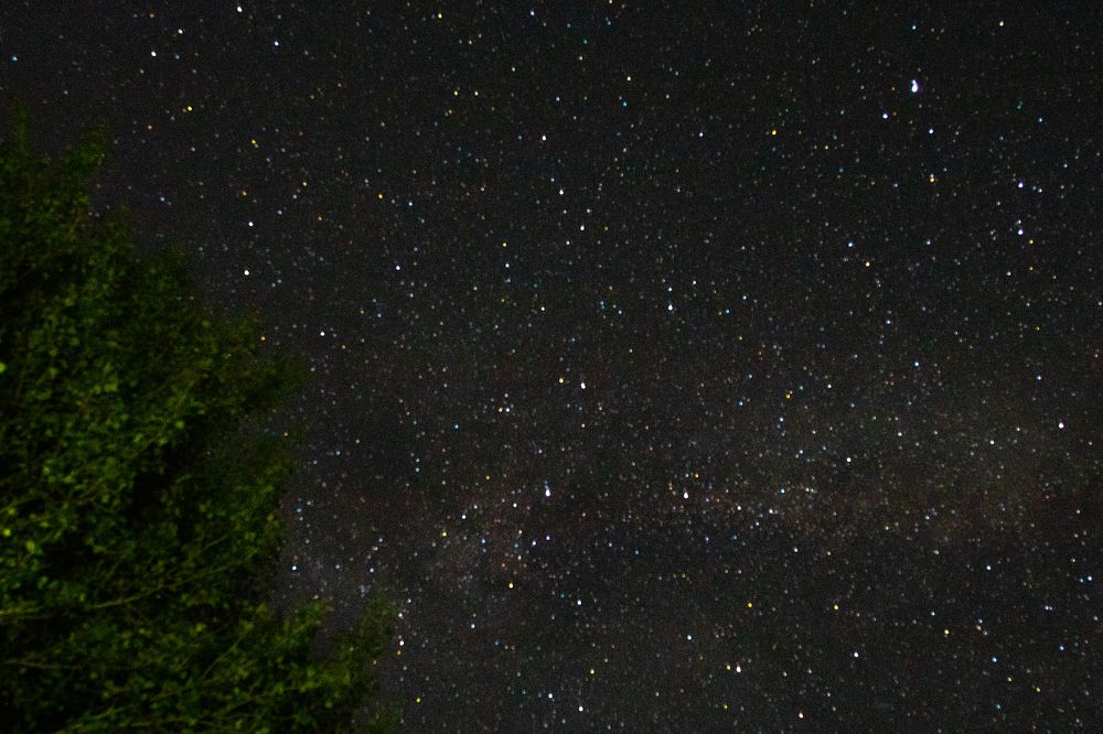 Photograph by Галина Молчанова