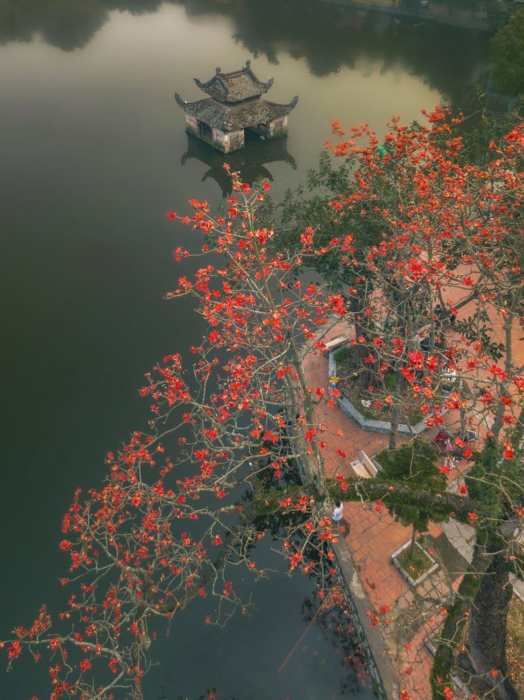 Photograph by Trần Anh Tuấn